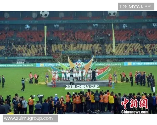 武汉排球队在联合会杯中的团队协作表现值得称赞与思考